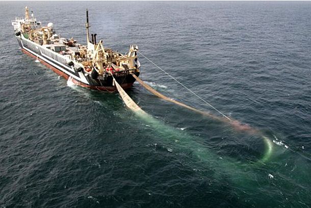 Super trawler given green light